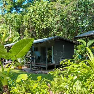 Safari , Cape Tribulation Australie